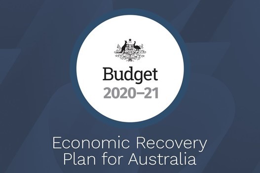 The 2020 Budget for Businesses